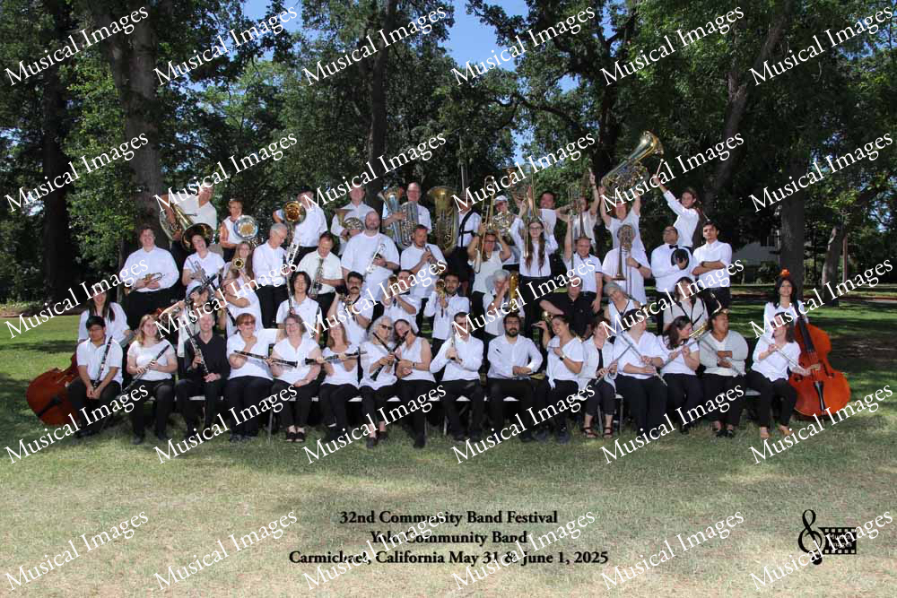 Musical Images